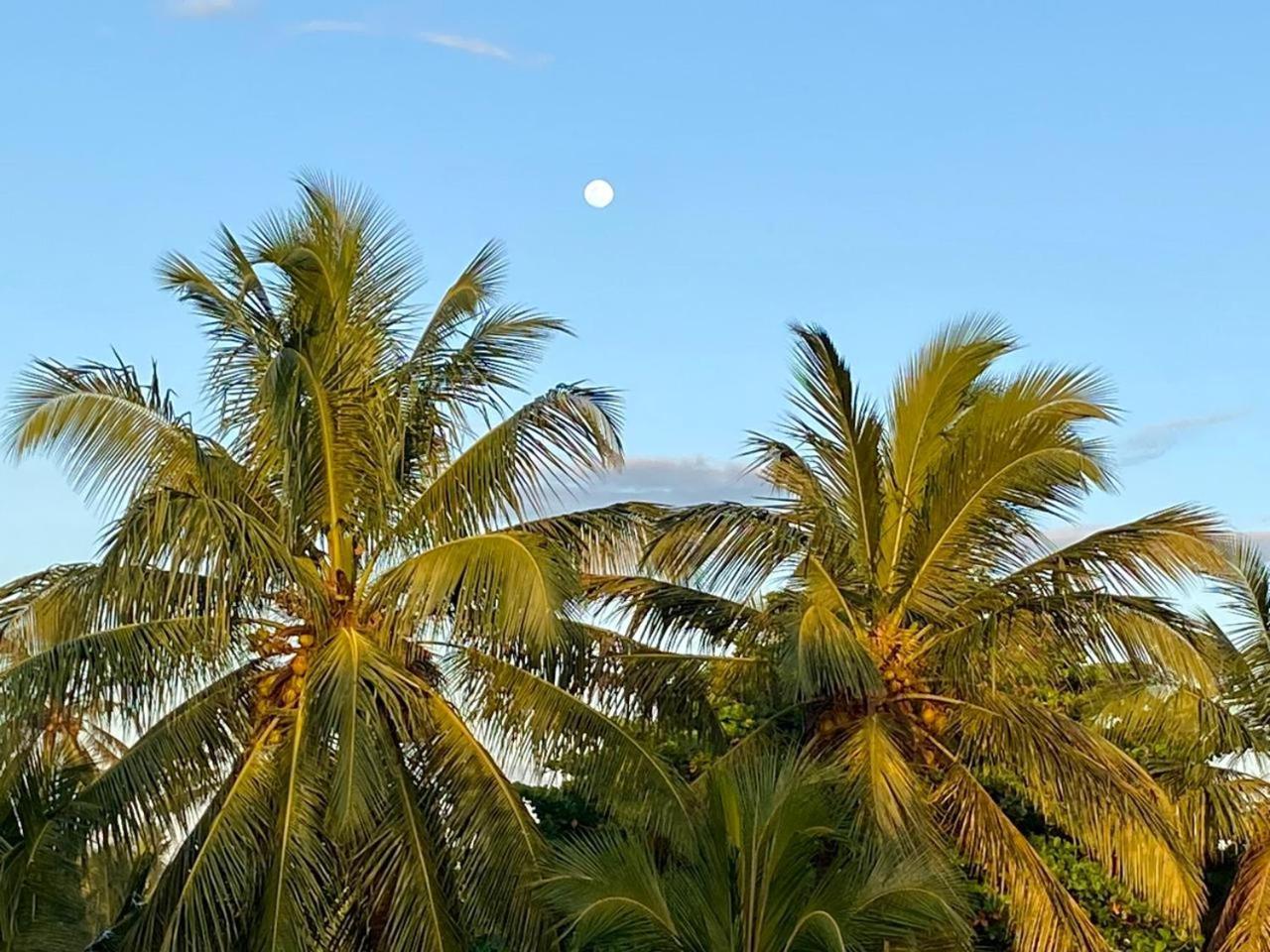 Sasagara Beach Villa Tangalle Exteriér fotografie